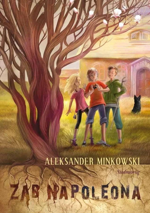 Ząb Napoleona, Aleksander Minkowski