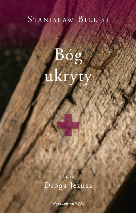 Bóg ukryty, Stanisław Biel SJ