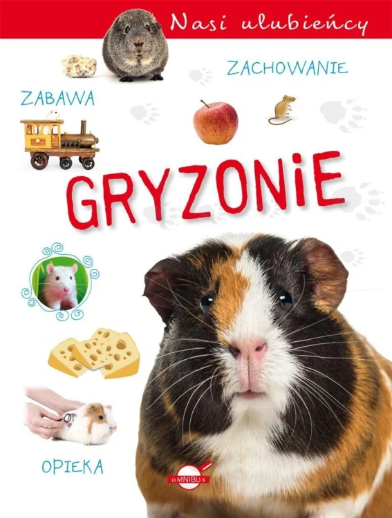 Nasi ulubieńcy. Gryzonie, praca zbiorowa
