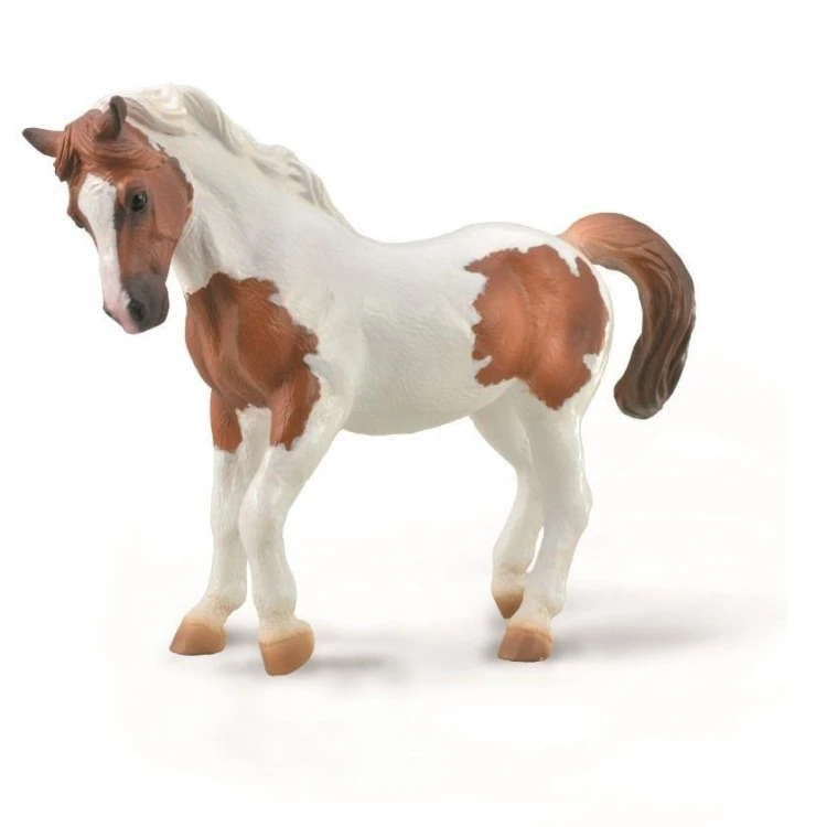 Kucyk Chincoteague kasztanowy Pinto, Collecta