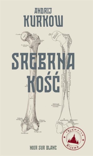 Srebrna kość. Tajemnice Kijowa, Andrij Kurkow