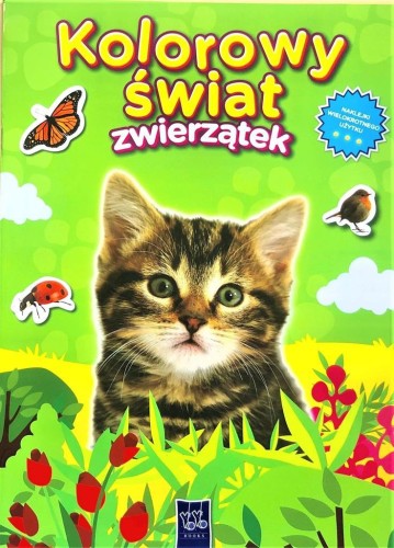 Kolorowy świat zwierzątek. Kotek, praca zbiorowa