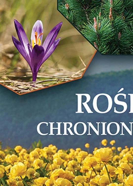 Rośliny chronione w Polsce, praca zbiorowa