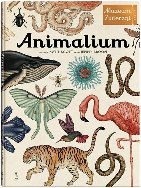 Animalium wyd.3, Jenny Broom, Katie Scott