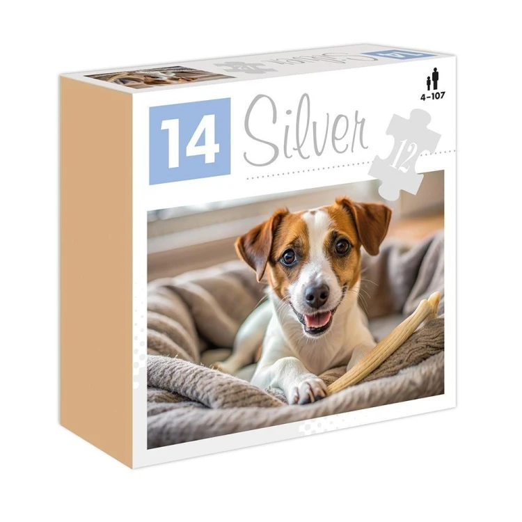 Puzzle 12 Pies Silver ALEX, Silver