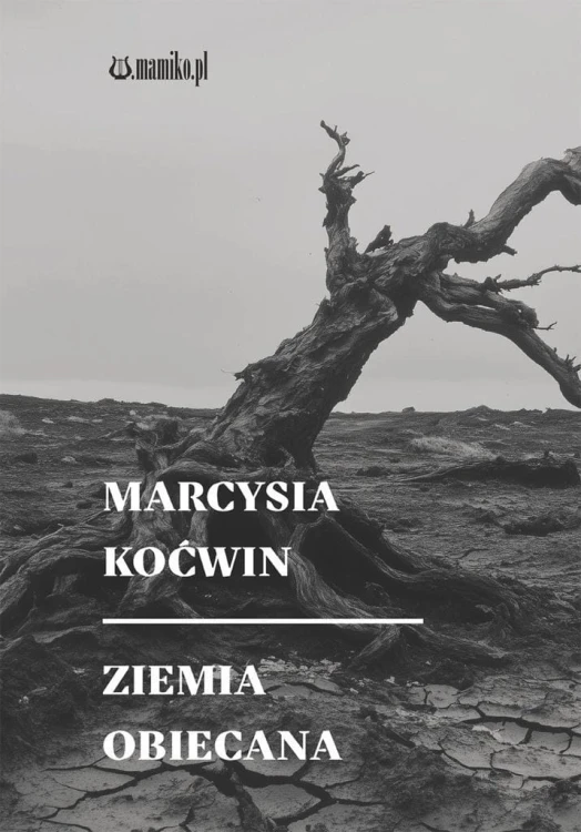 Ziemia obiecana, Marcysia Koćwin