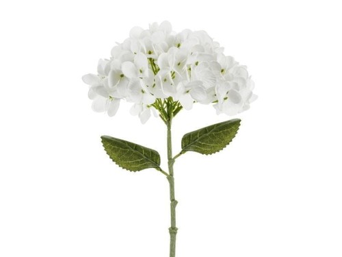 Hortensja biała 35cm