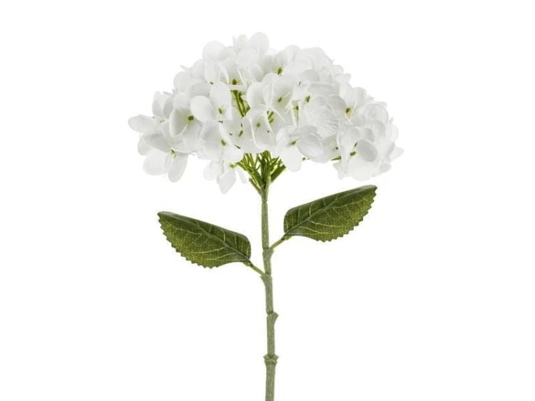 Hortensja biała 35cm