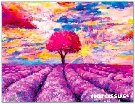 Teczka kopertowa PP A6 Lawenda, Narcissus