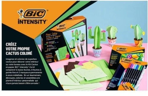 Zestaw Intensity Paper Cactus BIC, BIC