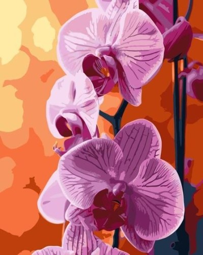 Malowanie po numerach - Orchidea 40x50cm, Qbee