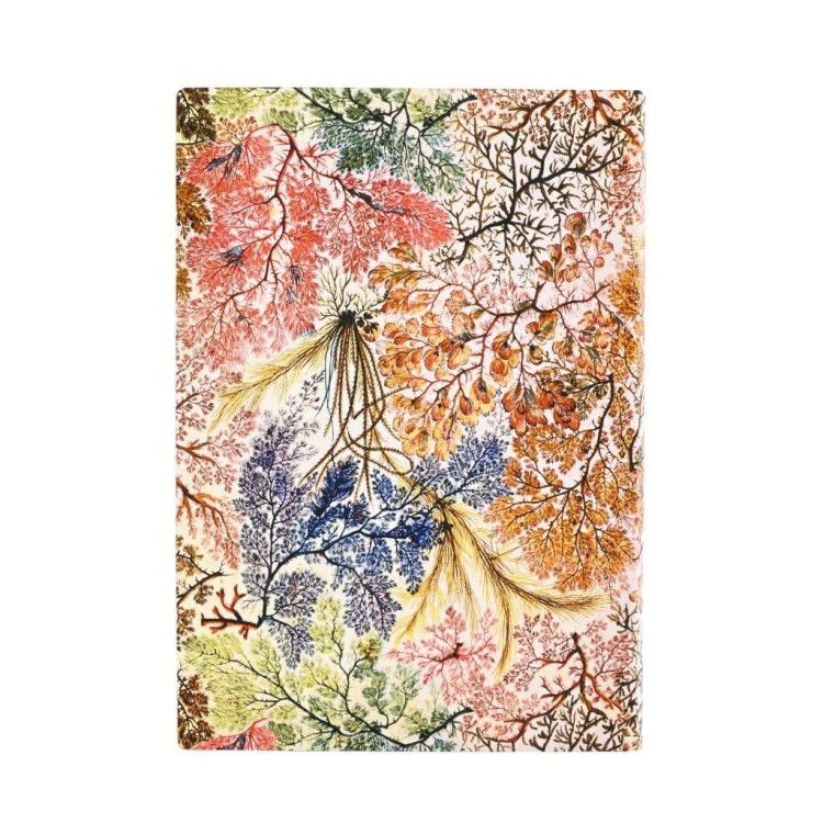 Notatnik czysty Anemone midi, Paperblanks