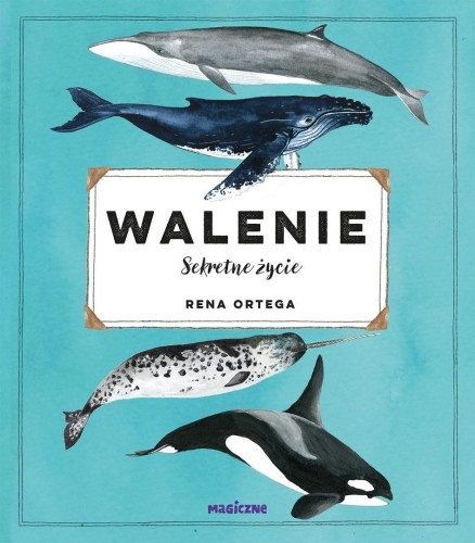 Walenie. Sekretne życie, Rena Ortega