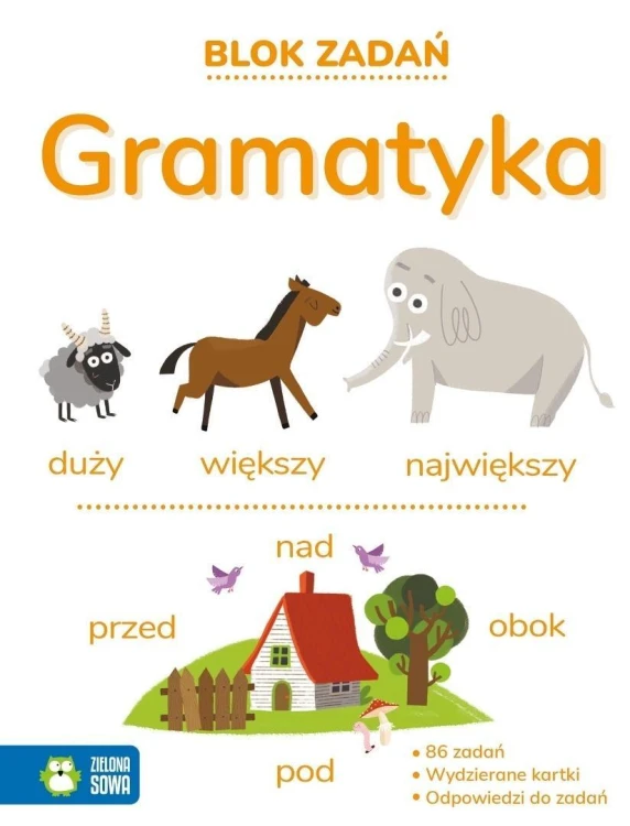 Blok zadań. Gramatyka 9+, praca zbiorowa