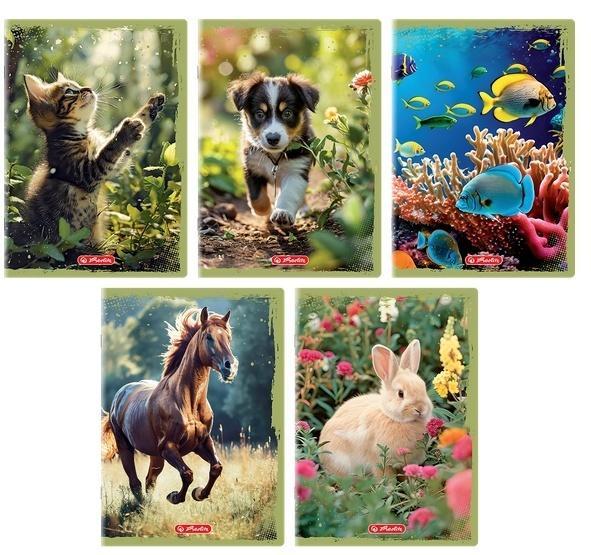 Zeszyt A5/16K gładki Animals (20szt), HERLITZ