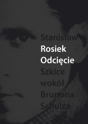 Odcięcie. Szkice wokół Schulza, Stanisław Rosiek