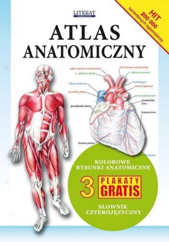 Atlas anatomiczny, Zespół