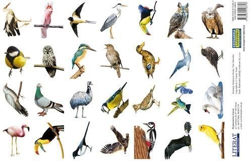 Naklejki. Ptaki, LITERAT