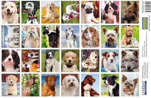 Naklejki. Psy, LITERAT