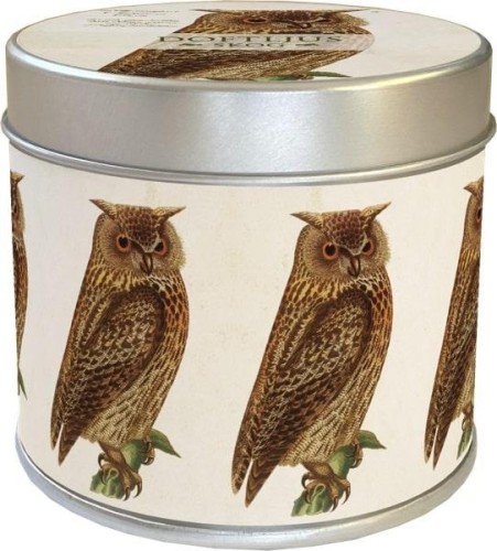 Zapachowa świeczka sowa - zapach leśny, Skona Ting