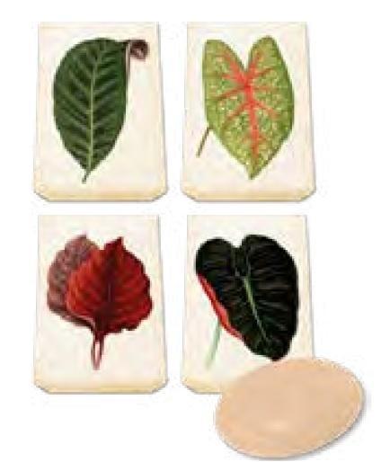 Mydełko ozdobne zapach brzoskwini, Skona Ting