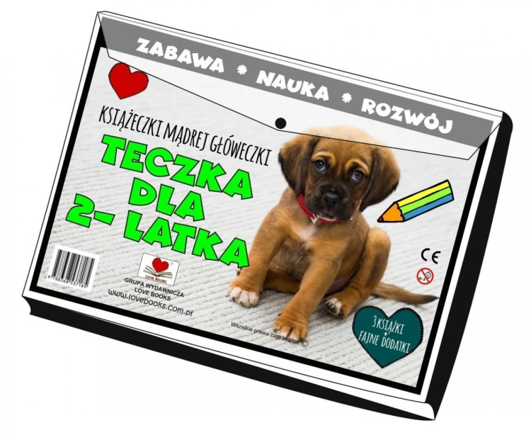 Teczka dla 2 latka. Książeczki mądrej główeczki