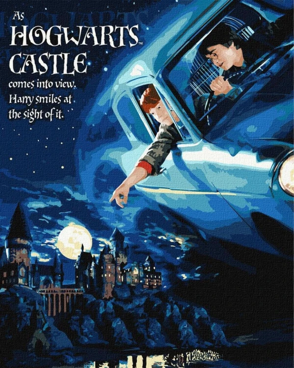 Malowanie po numerach -Harry Potter lot samochodem