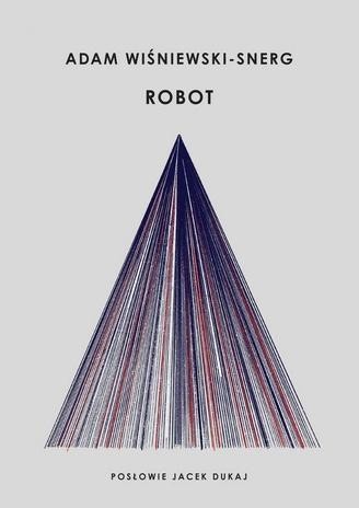 Robot, Adam Wiśniewski-Snerg