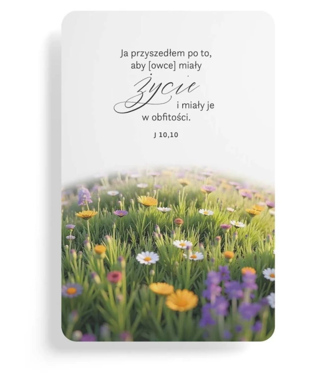 Magnes na lodówkę - Ja przyszedłem po to - pejzaż