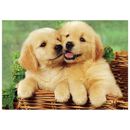 Mozaika diamentowa 5D - Psy 40x30cm, Titanum