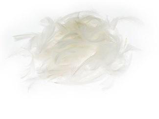 Pióra białe 5-12cm 7g, Brewis