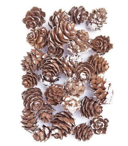Mini szyszki bielone 25g, Dalprint