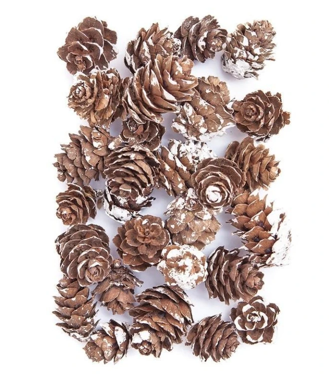 Mini szyszki bielone 25g, Dalprint