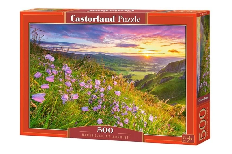 Puzzle 500 Harebells at Sunrise CASTOR, Castorland
