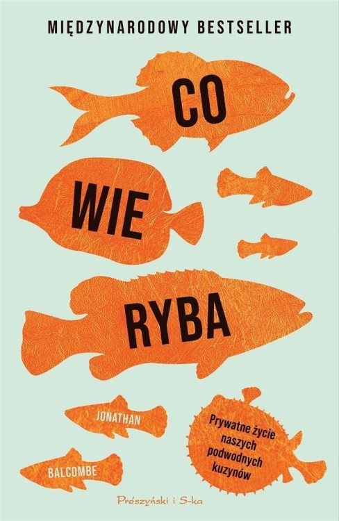 Co wie ryba. Prywatne życie naszych podwodnych..