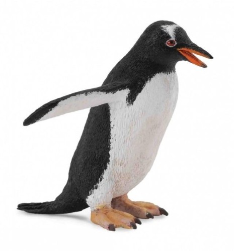 Pingwin gento, Collecta