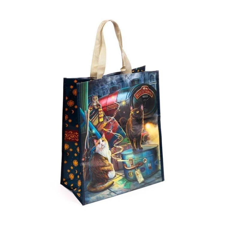 Torba na zakupy Witchwood Express Cat Lisa Parker