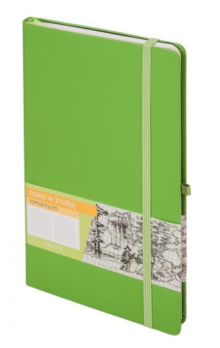 Notes A5 Kratka Romantyzm Zielony ANTRA, Antra
