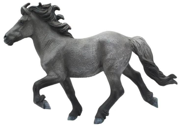 Koń Blue Dun Icelandis Staillion, Collecta
