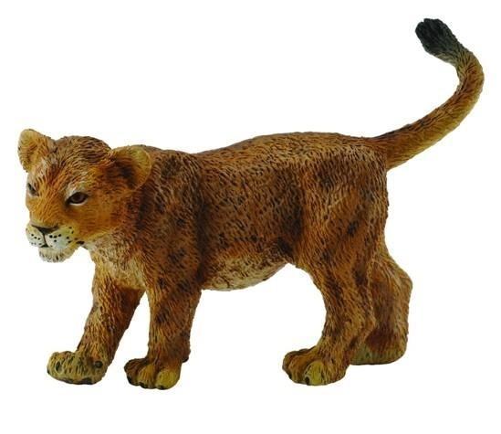 Lwiątko idące, Collecta