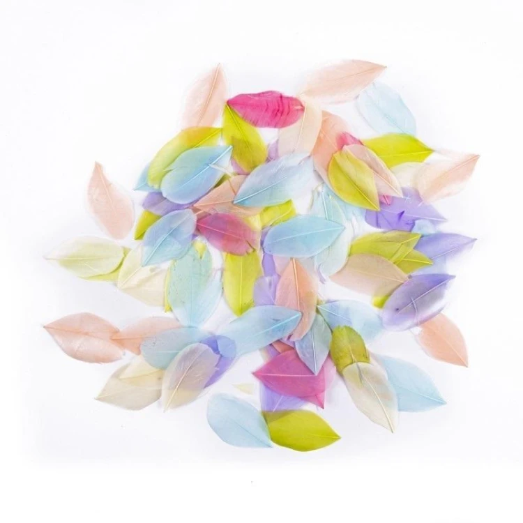 Pióra gęsie pastel 6cm 5g, Dalprint