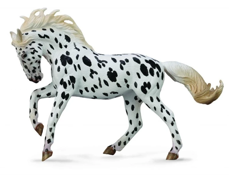 Klacz rasy Knabstrup - kary, Collecta