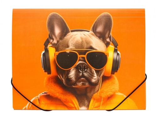 Teczka A4 PP na gumkę z nadrukiem Cool Dog