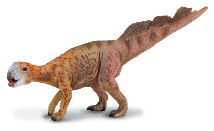Dinozaur Psitakozaur, Collecta