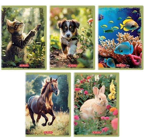 Zeszyt A5/32K linia Animals (10szt), HERLITZ