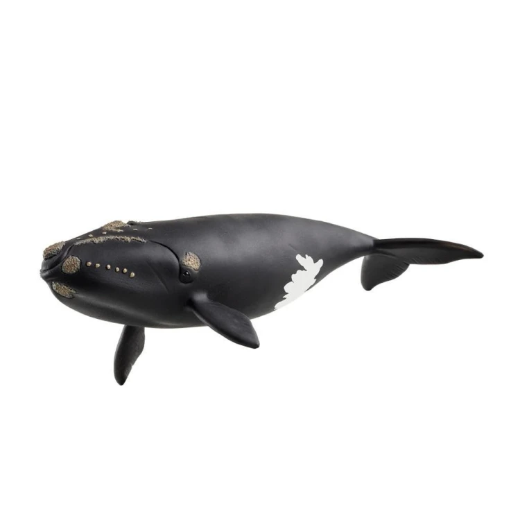 Wieloryb biskajski, SCHLEICH