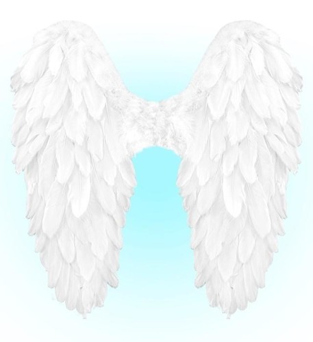 Białe skrzydła naturalne pióra, Widmann