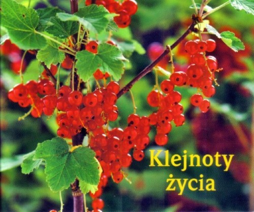 Perełka 143 - Klejnoty życia, praca zbiorowa