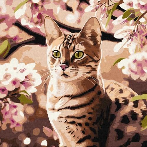 Malowanie po numerach - Kotek w ogrodzie 40x40cm