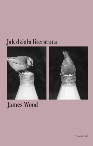 Jak działa literatura, James Wood